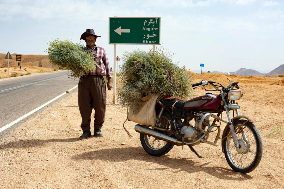 Rider’s Lens: Edouard Sepulchre in the Desert