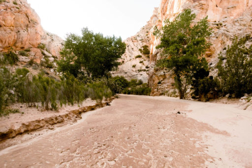 Yuto Watanabe, Bikepacking the Grand Staircase Loop