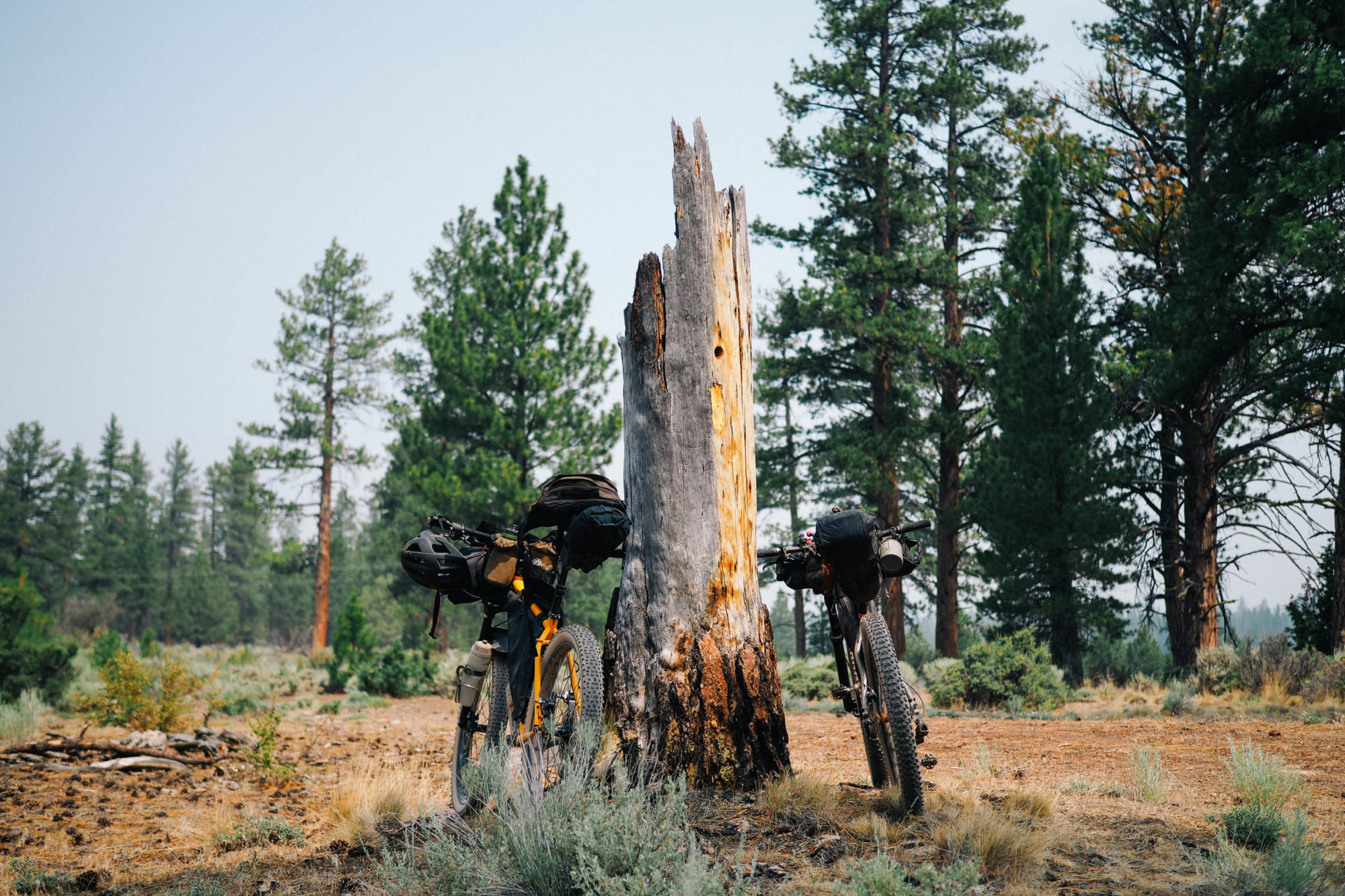Oregon-Timber-Trail-Trip-Report