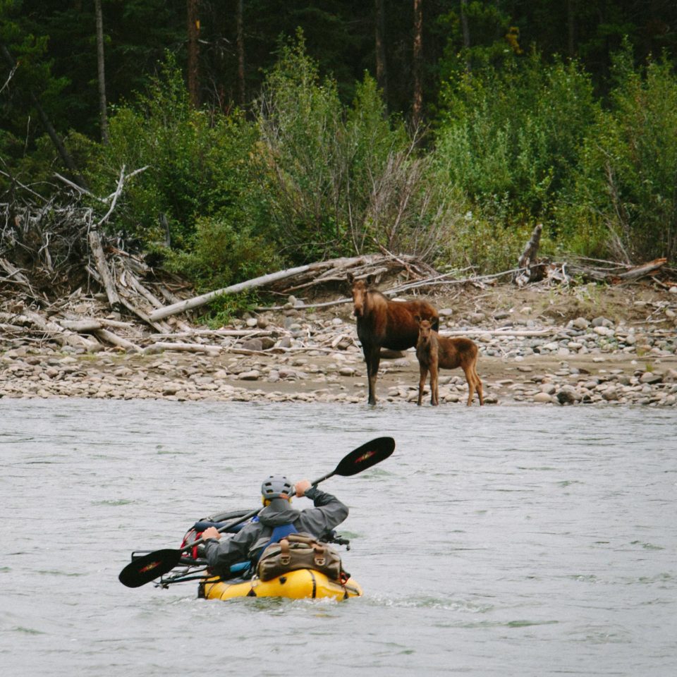 Chasing Wild film, pack rafting The Sacred Headwaters