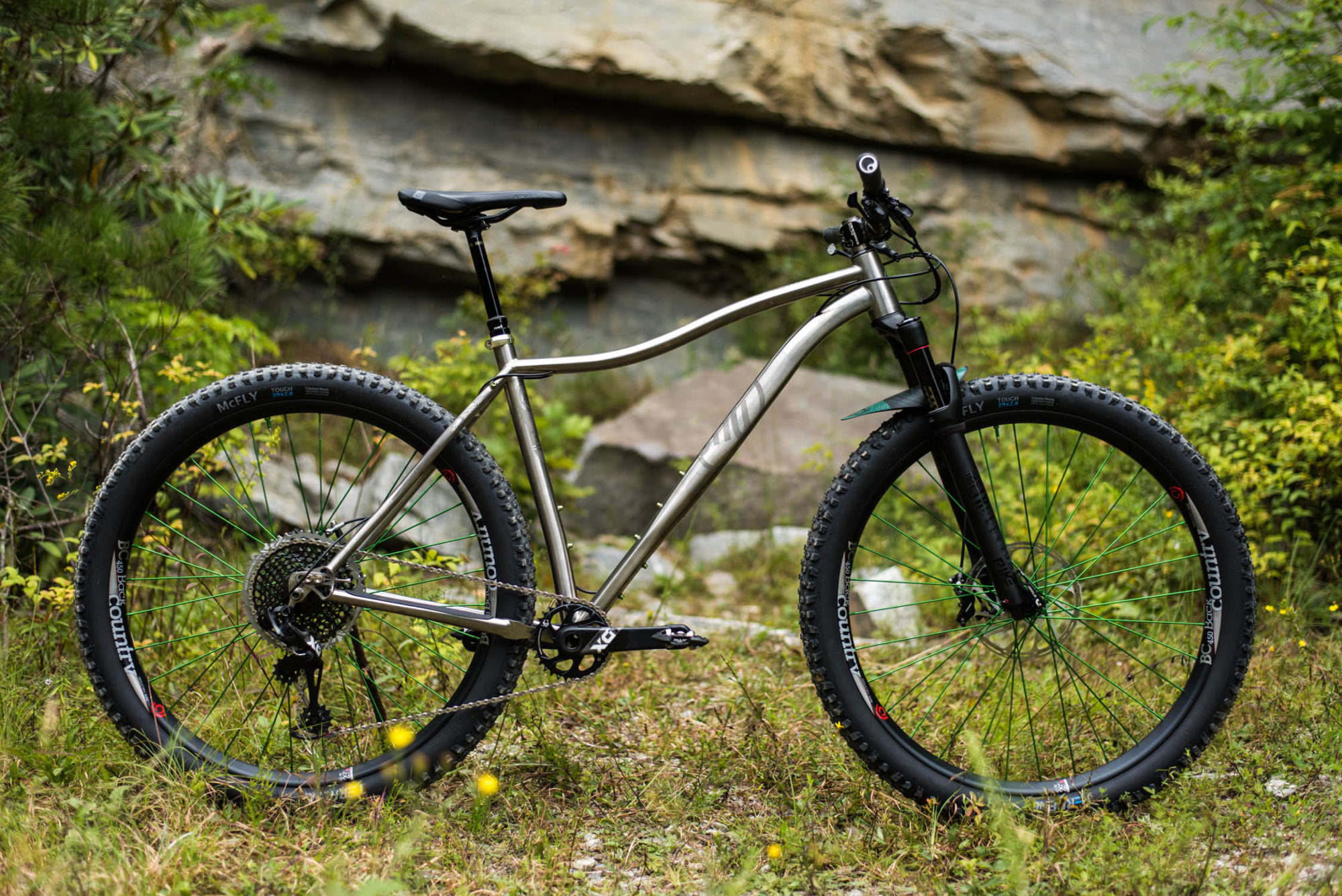 Why Cycles Wayward Review, 29+ Titanium Bike