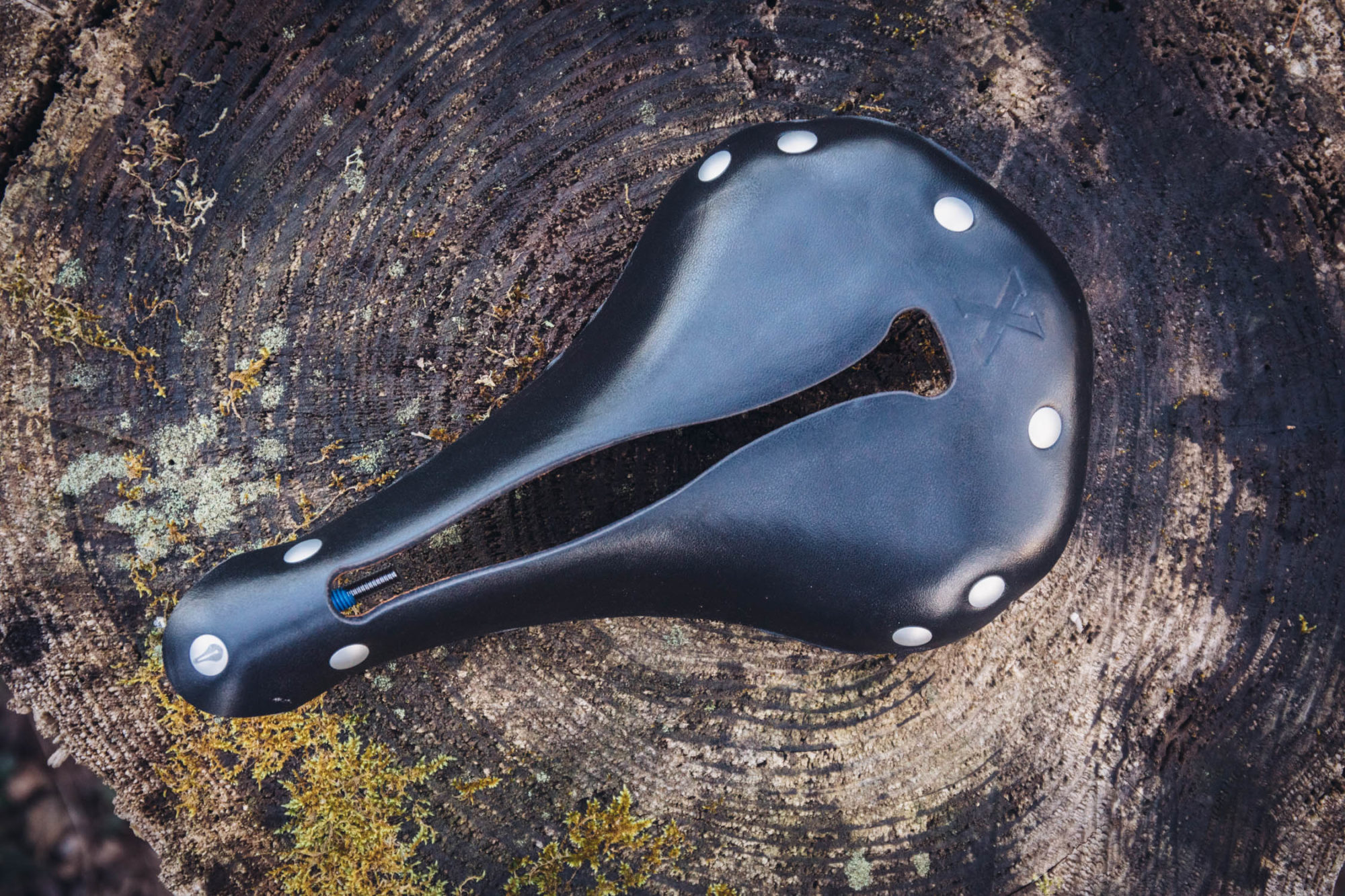 selle anatomica reddit