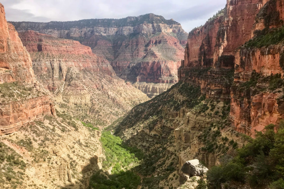 Reflections on the Arizona Trail: Profound Joy and Big Questions