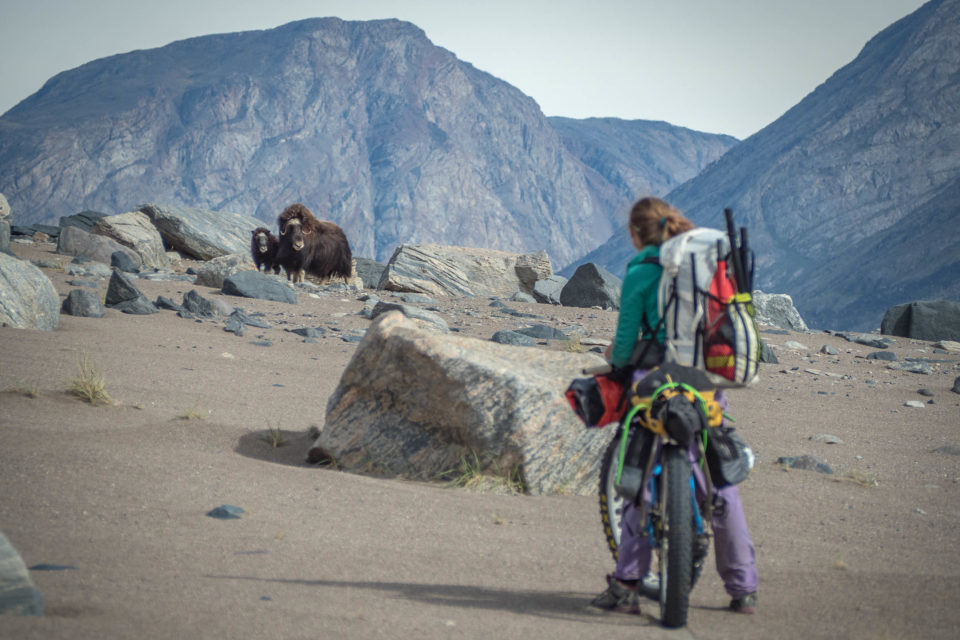 Boundless, Bikepacking Greenland, Bikepacking Journal, Packrafting
