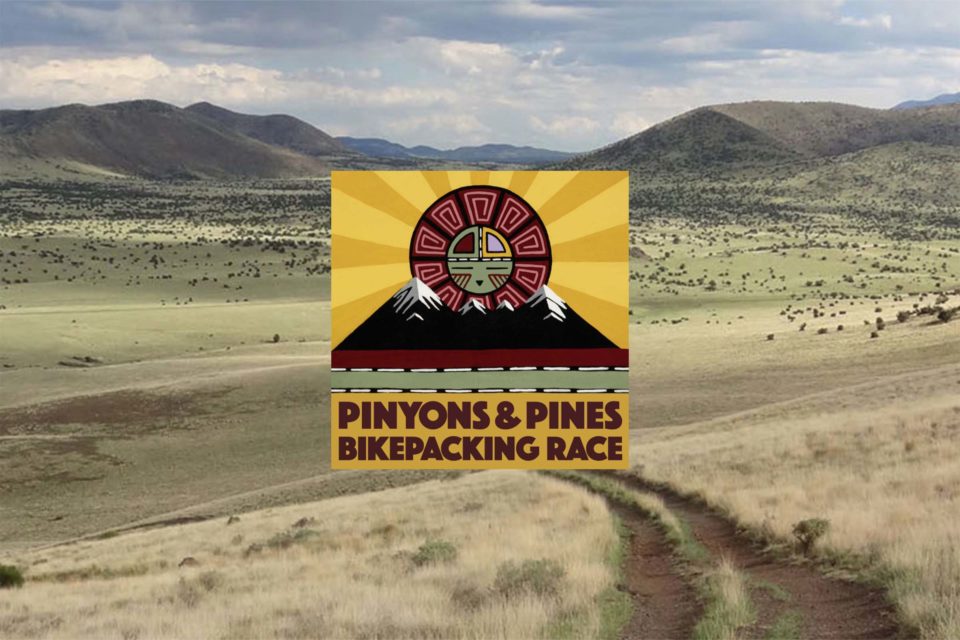 Pinyons and Pines 2023