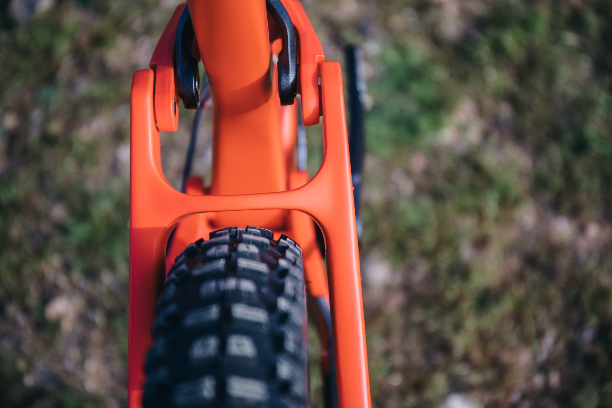 salsa rustler frame