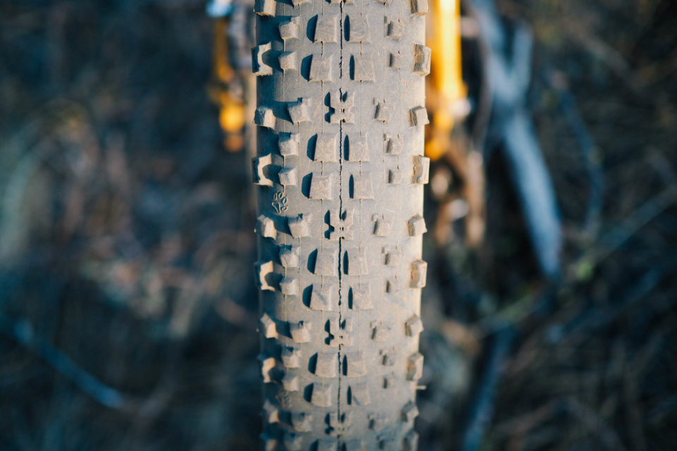 Onza Canis 27.5 Plus Skinwall Tire Review