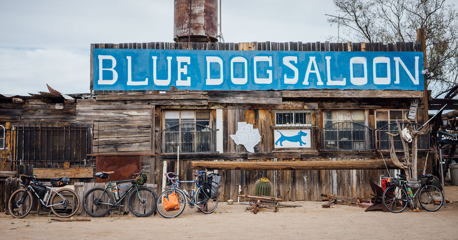 blue dog bicycles