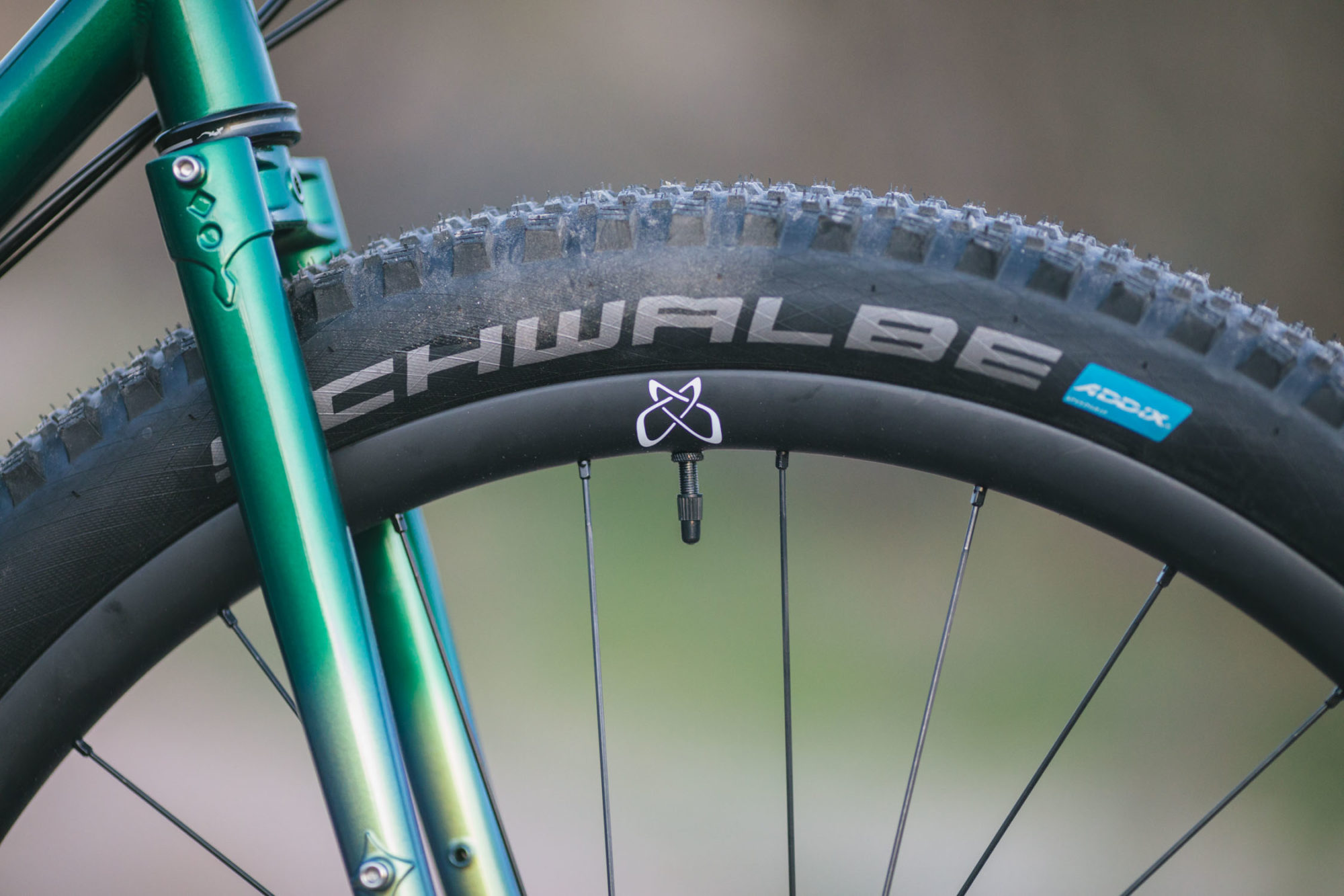 gorilla monsoon frameset