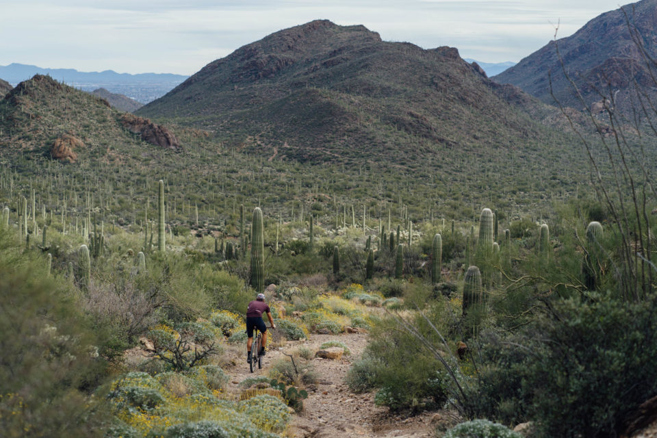 Tucson trails