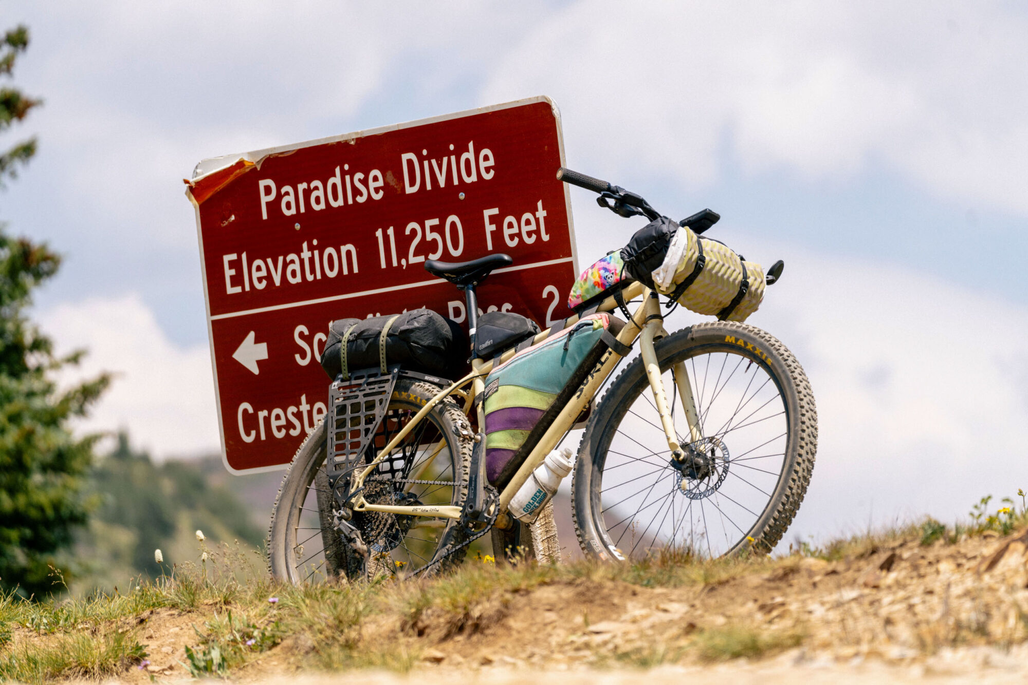 Surly Bridge Club Review