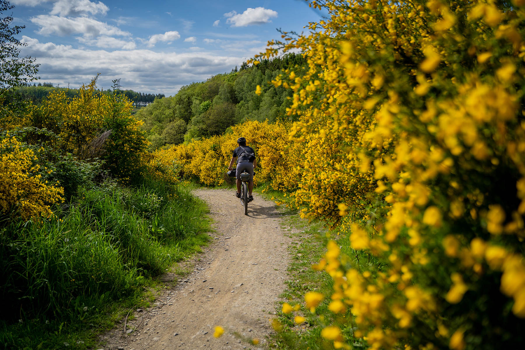 Ardennes Arbalete (video) - BIKEPACKING.com