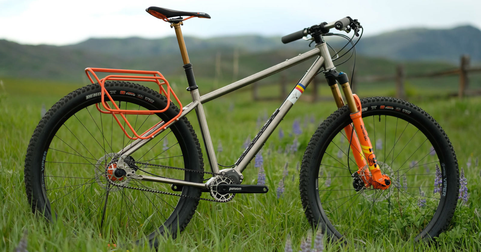 pinion commuter bike