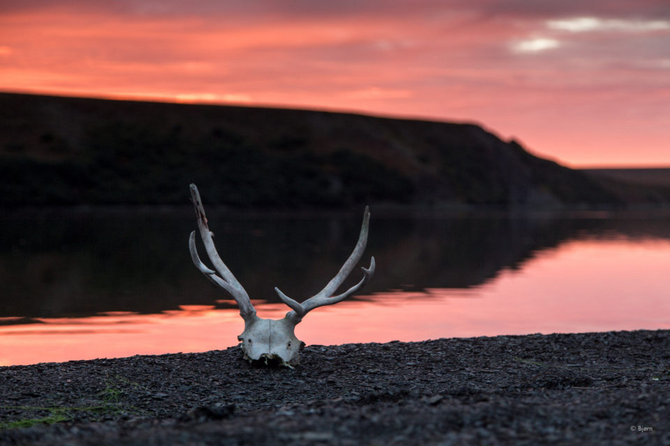 Iglaak Film, Bjorn Olson, bikepacking Alaska