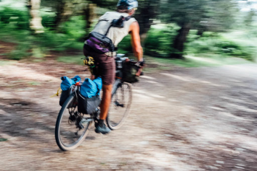 New Forest Gravel Bikepacking Route