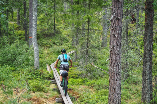 Swedish Safari 300 Bikepacking Route, Sweden