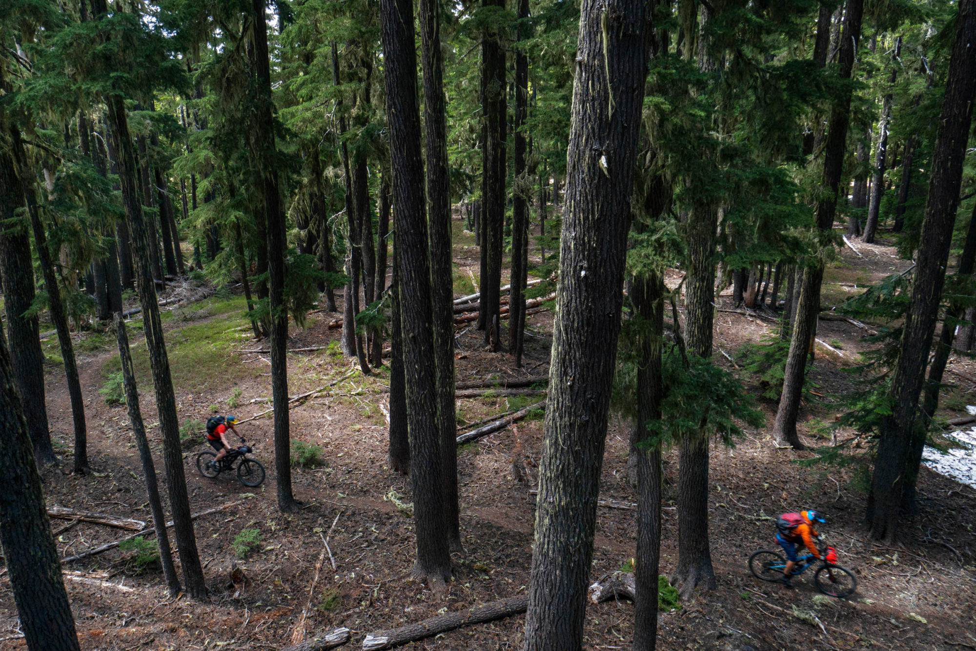 Oregon Timber Trail Video Jonas Rismyhr