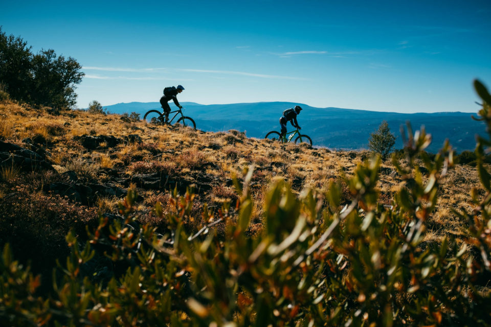 Oregon Timber Trail Giveaway: Win a Giant Trance Advanced 29er