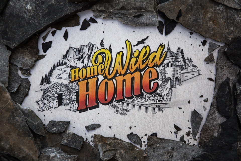 Home Wild Home (film)
