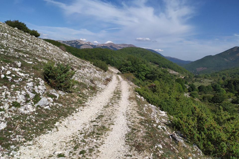 Lazio Trail 2019 Recap