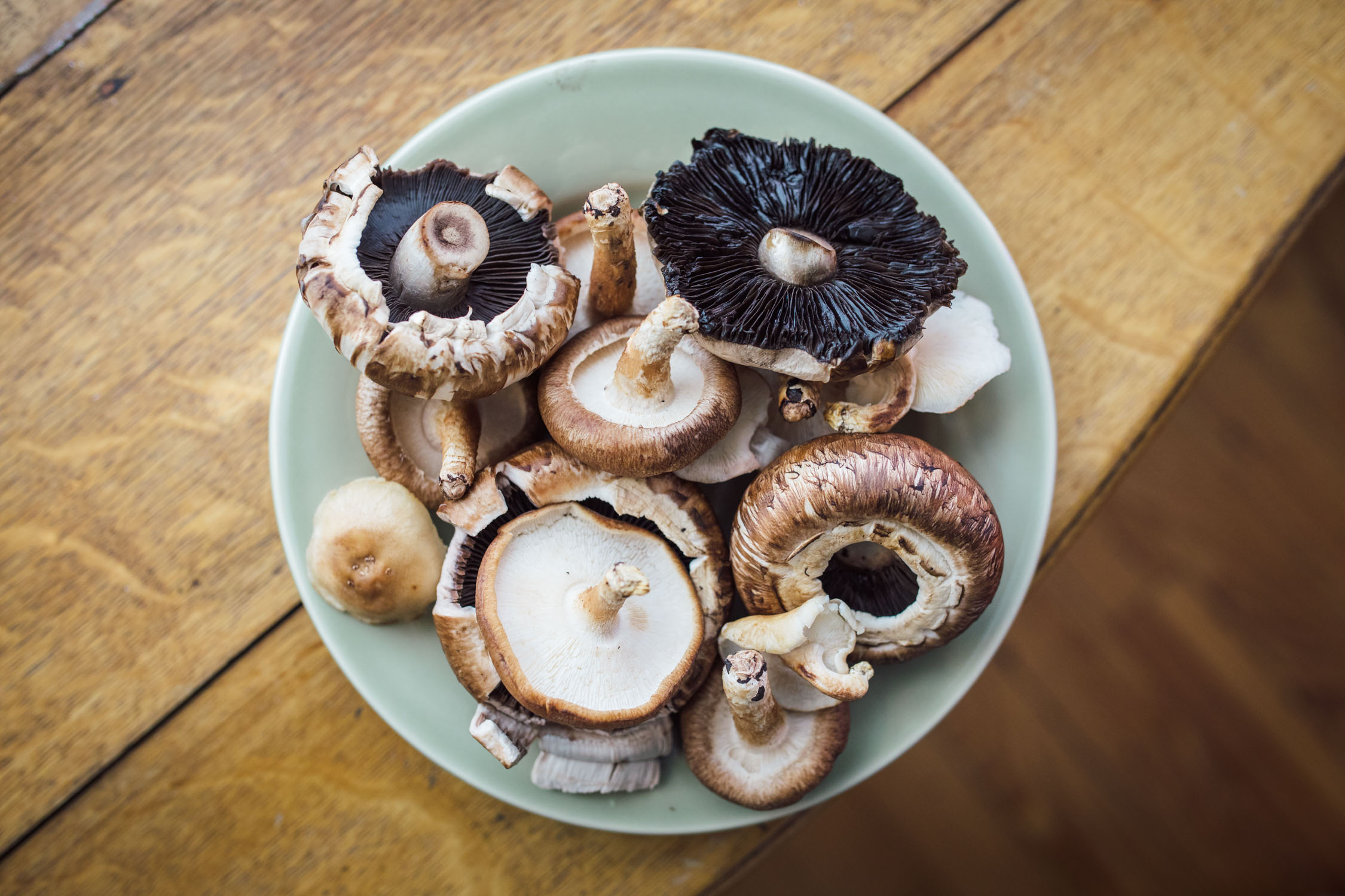 Mushroom Jerky Recipe (Jerkless Jerky) - BIKEPACKING.com