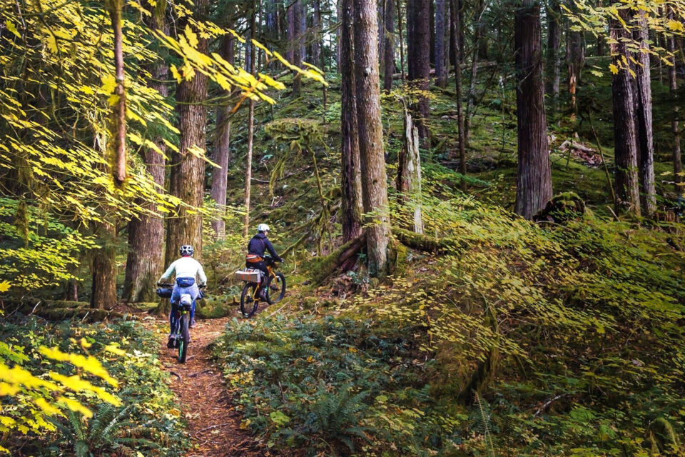 Oregon Timber Trail 300/700 Race and Tour (2024)