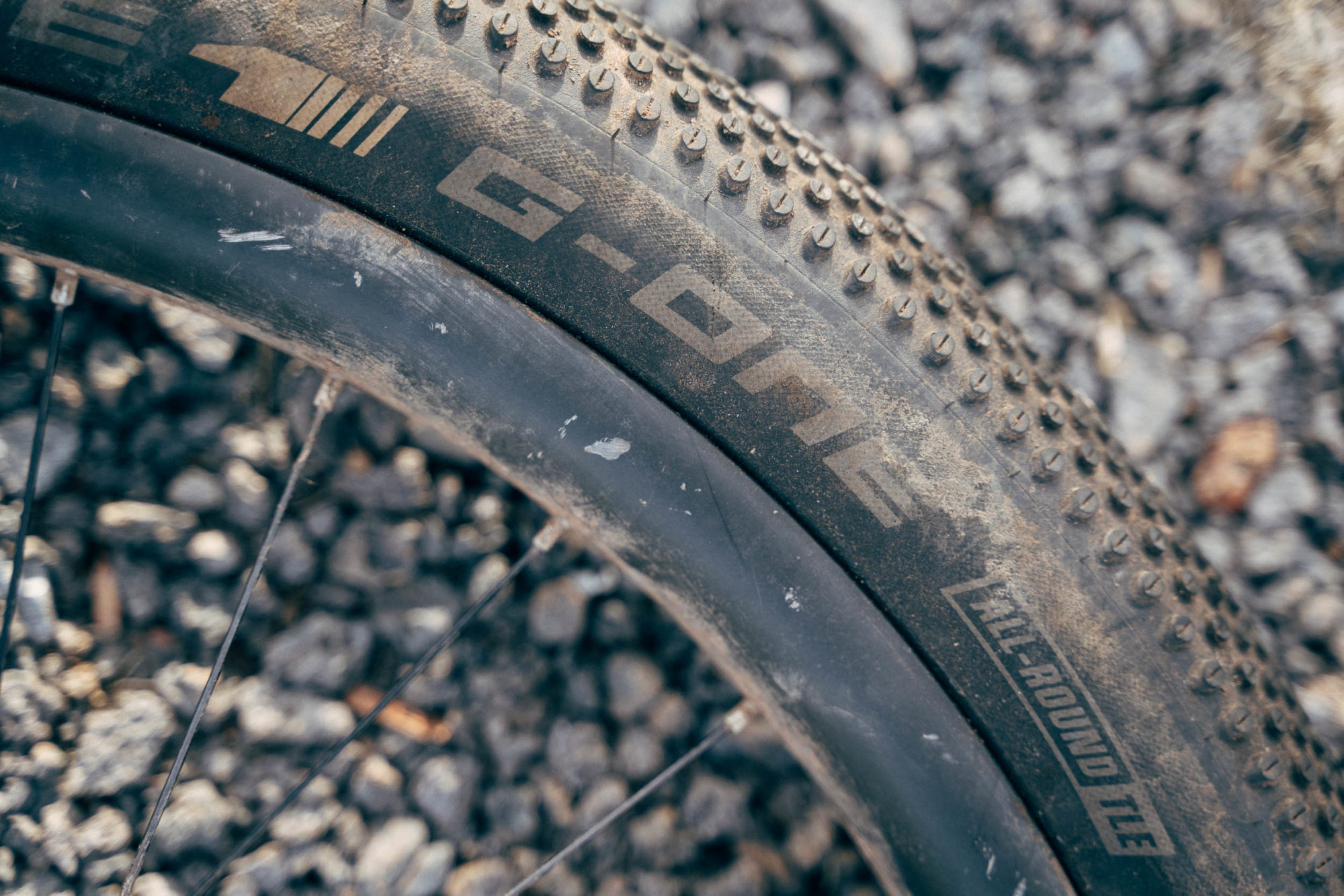 schwalbe-g-one-allround-a-game-changing-plus-tire-bikepacking