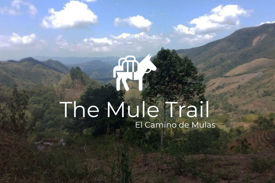 The Mule Trail 2024