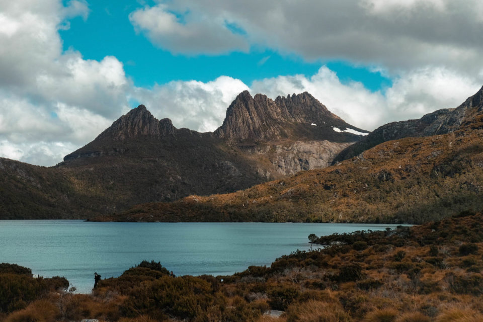 Tasmania, Mateo Arango Guerrero