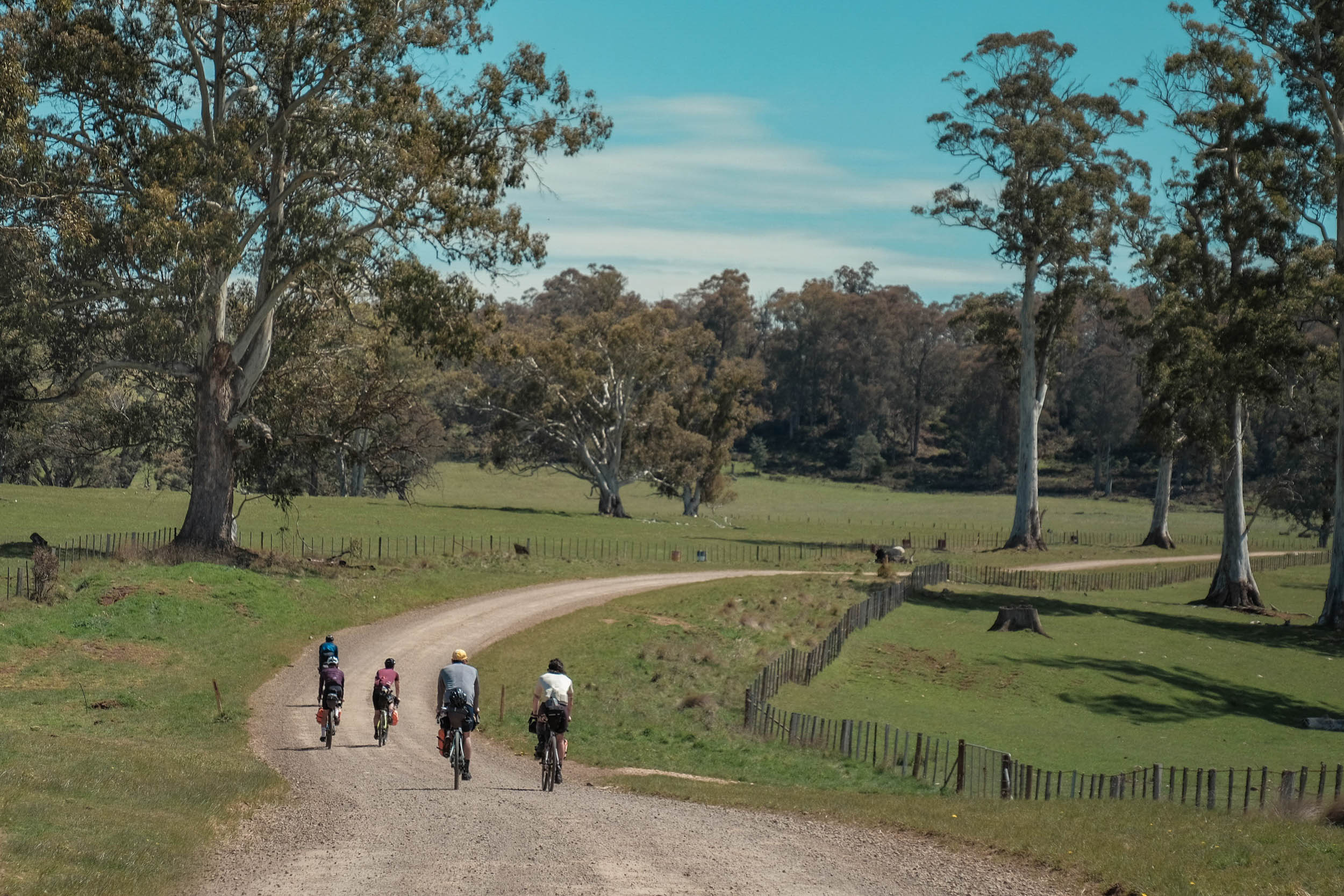 Untaming Tasmania - BIKEPACKING.com