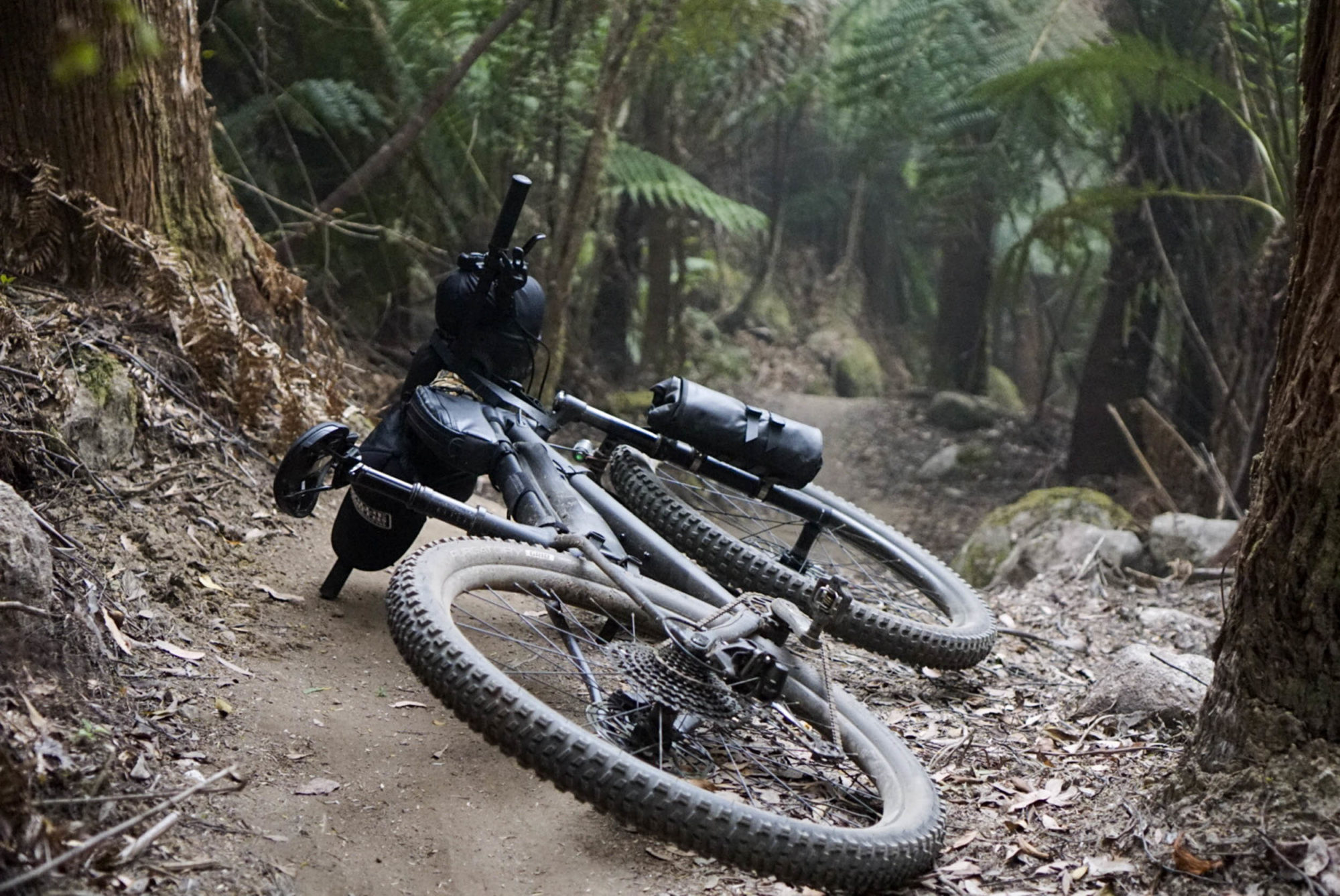 Reader's Rig: Scott's Specialized Fuse - BIKEPACKING.com