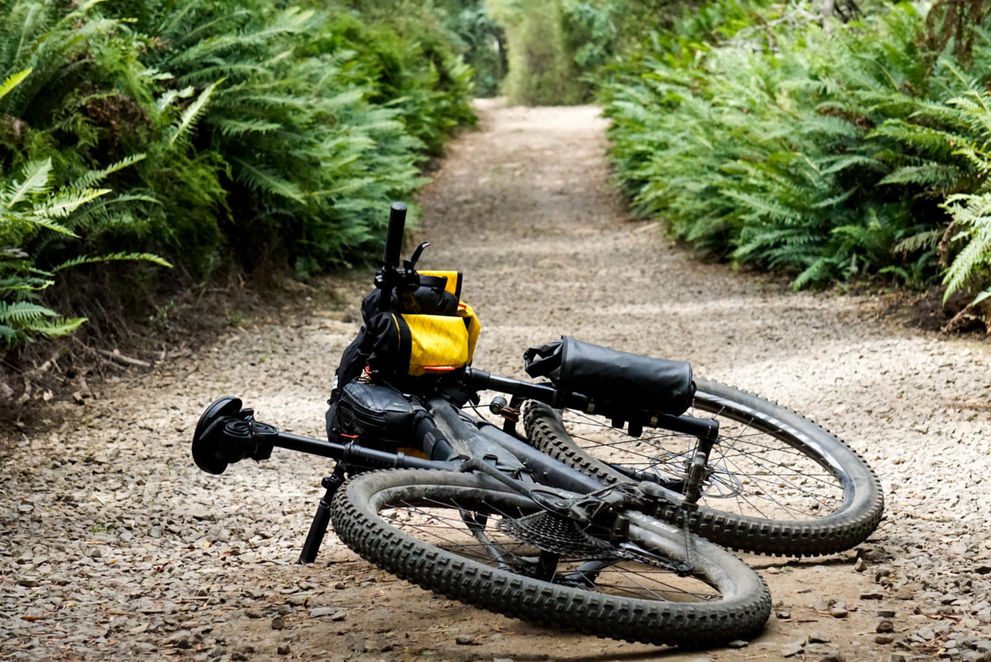 Reader's Rig: Scott's Specialized Fuse - BIKEPACKING.com