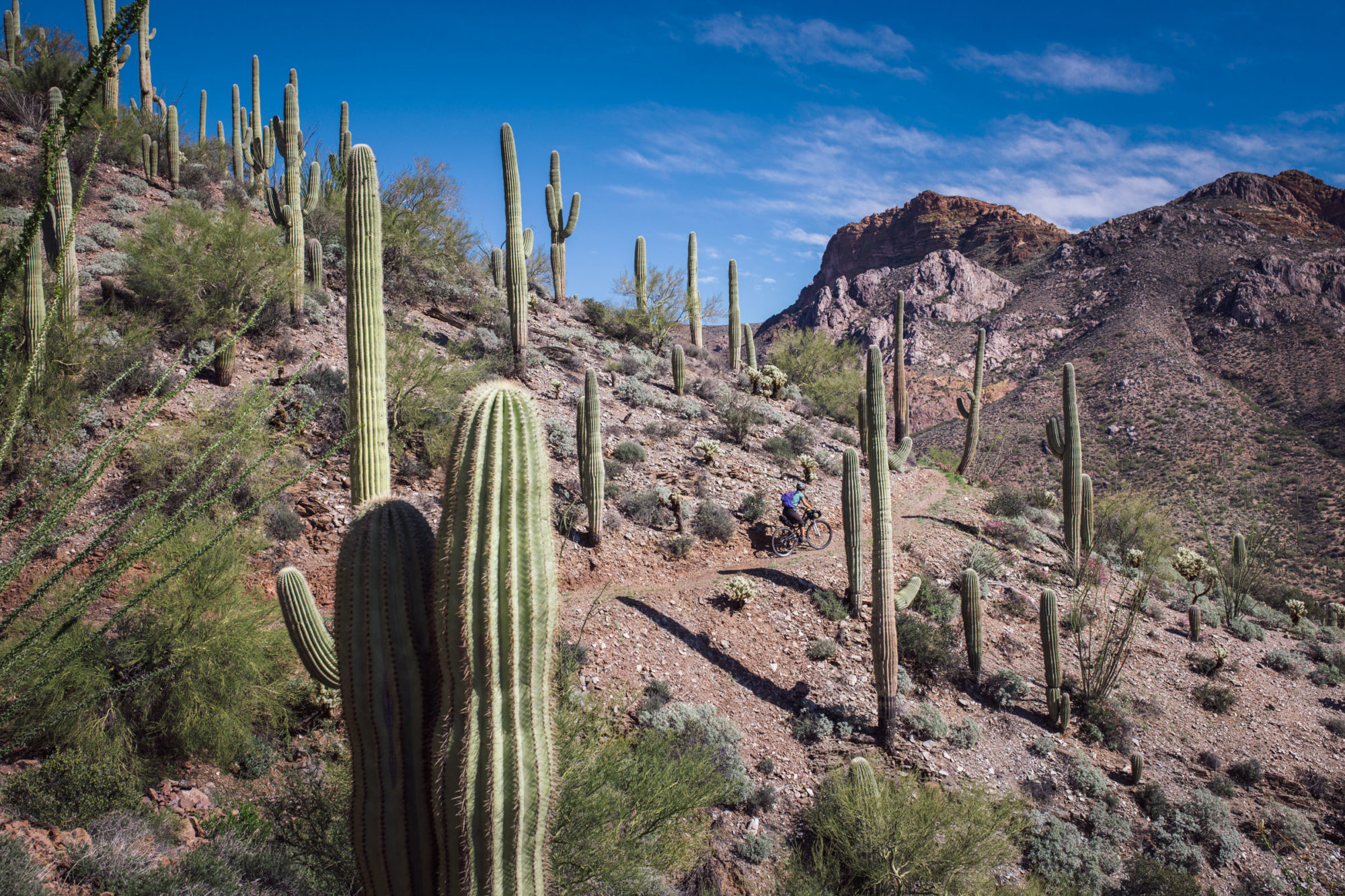 Gila River Ramble Bikepacking Route