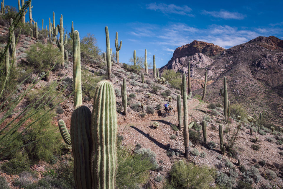 The Gila River Ramble: Bikepacking the Superstitions