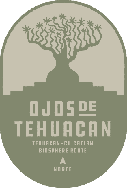 Ojos de Tehuacan, Tehuacan-Cuicatlan Biosphere Bikepacking Route