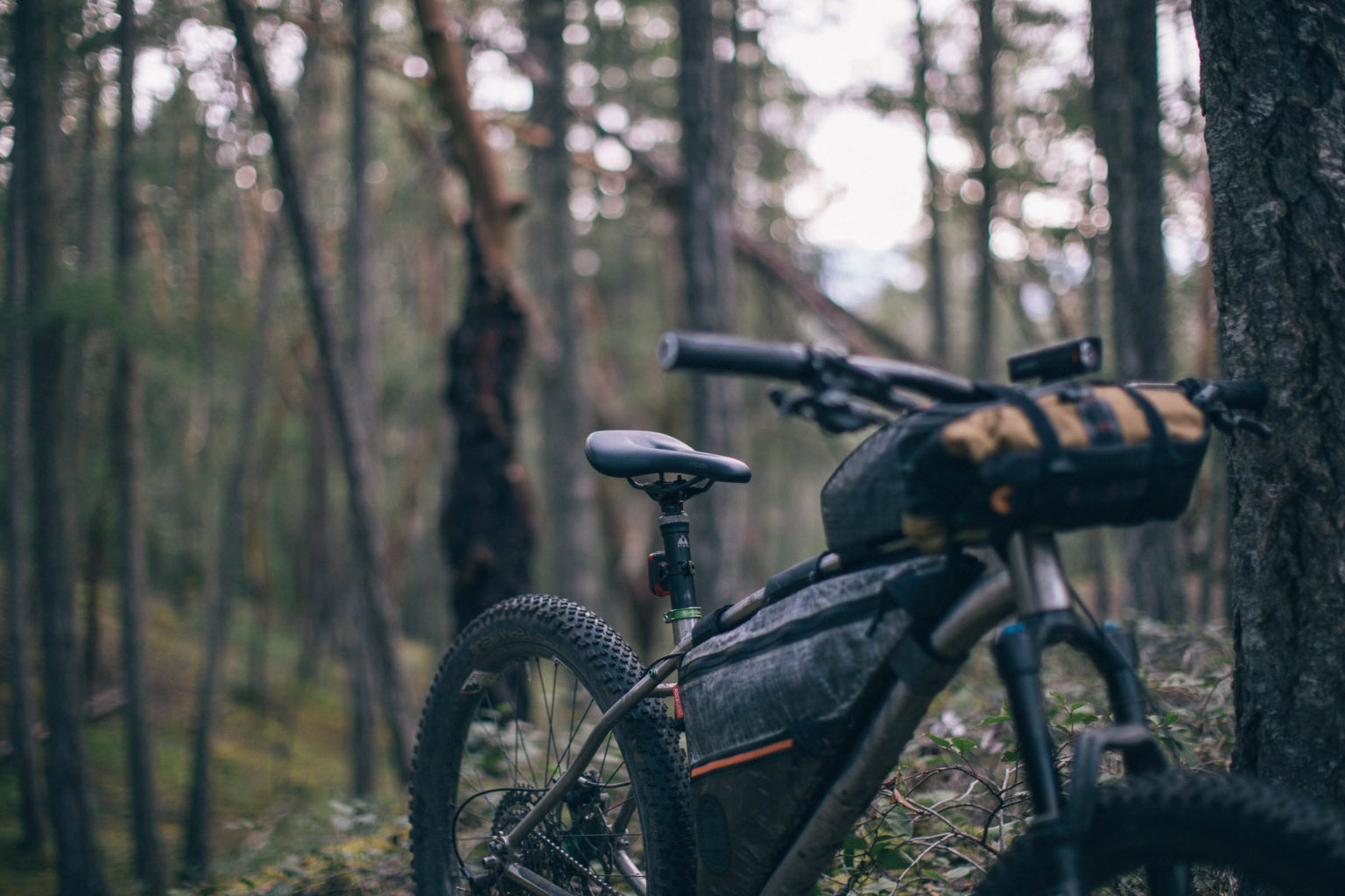 ergon smc sport gel saddle review