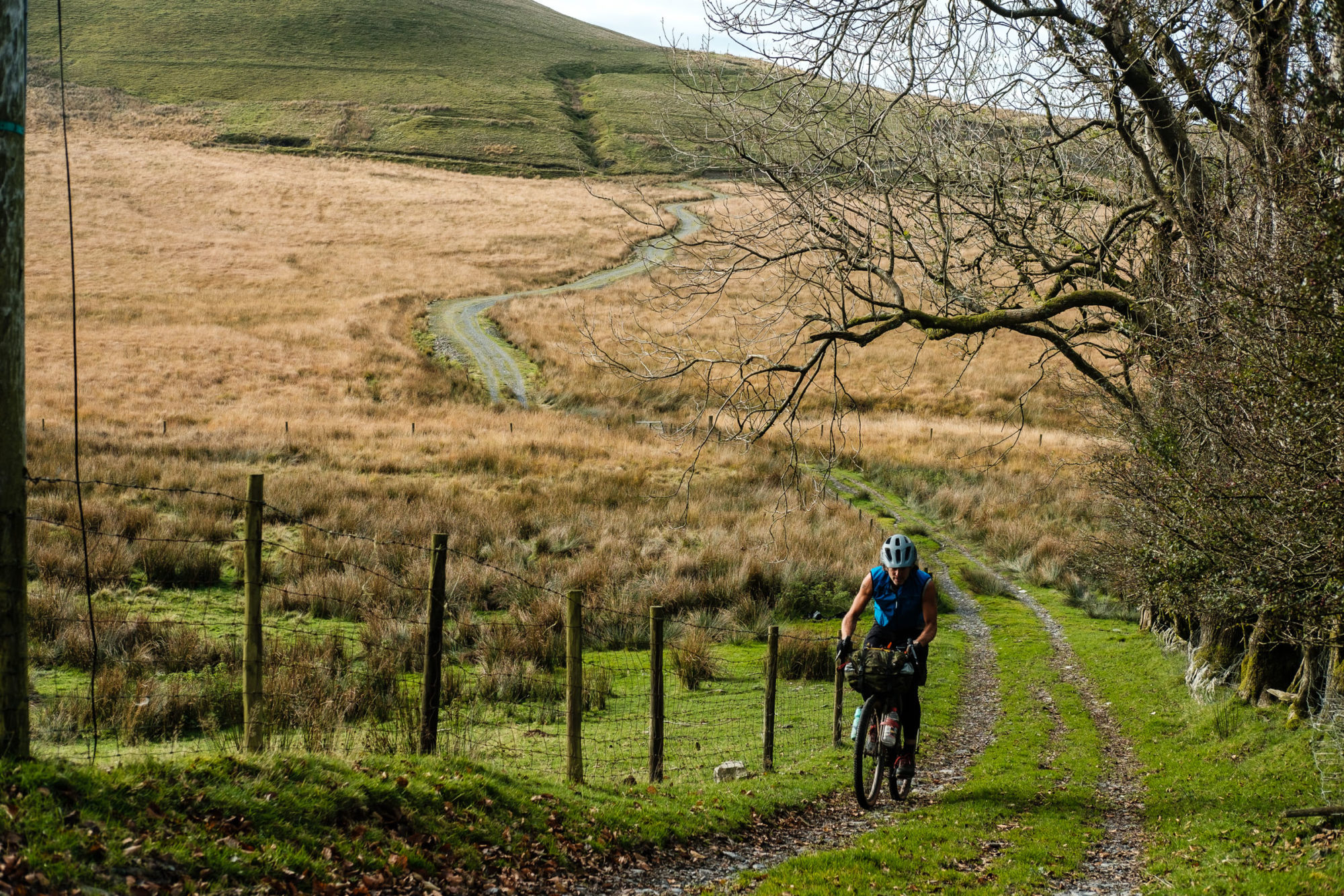 Bear Bones Bash Bikepacking