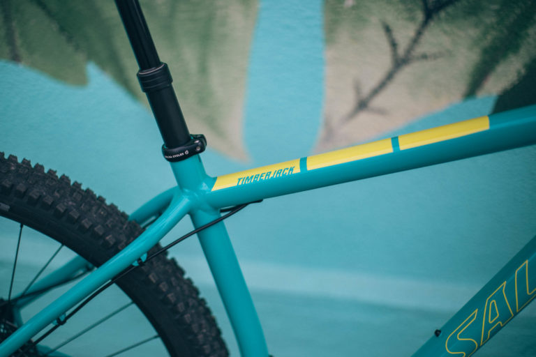 salsa timberjack carbon