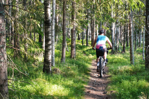 Bergslagsleden Bikepacking Route