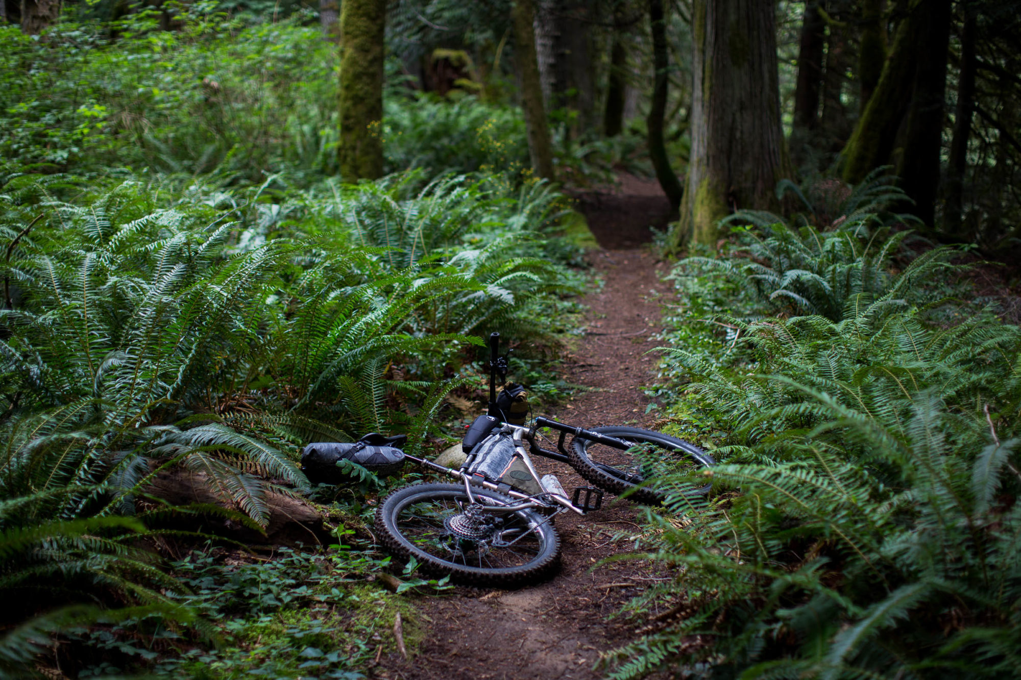 Pneumatici - Mountain Bike in Pneumatici | Cingolani