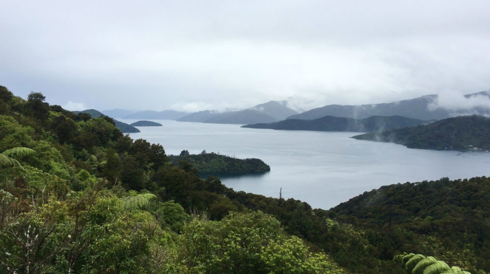 Mākū film, New Zealand gravel bike adventure