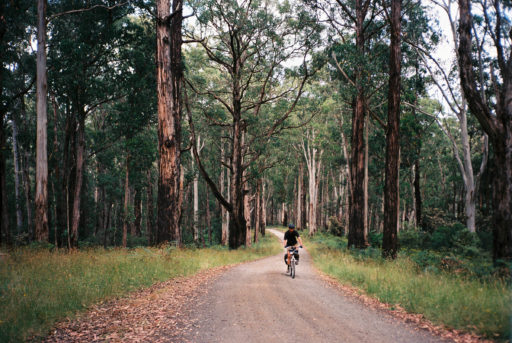 Otway Rip Gravel Bikepacking Route, Victoria, Australia