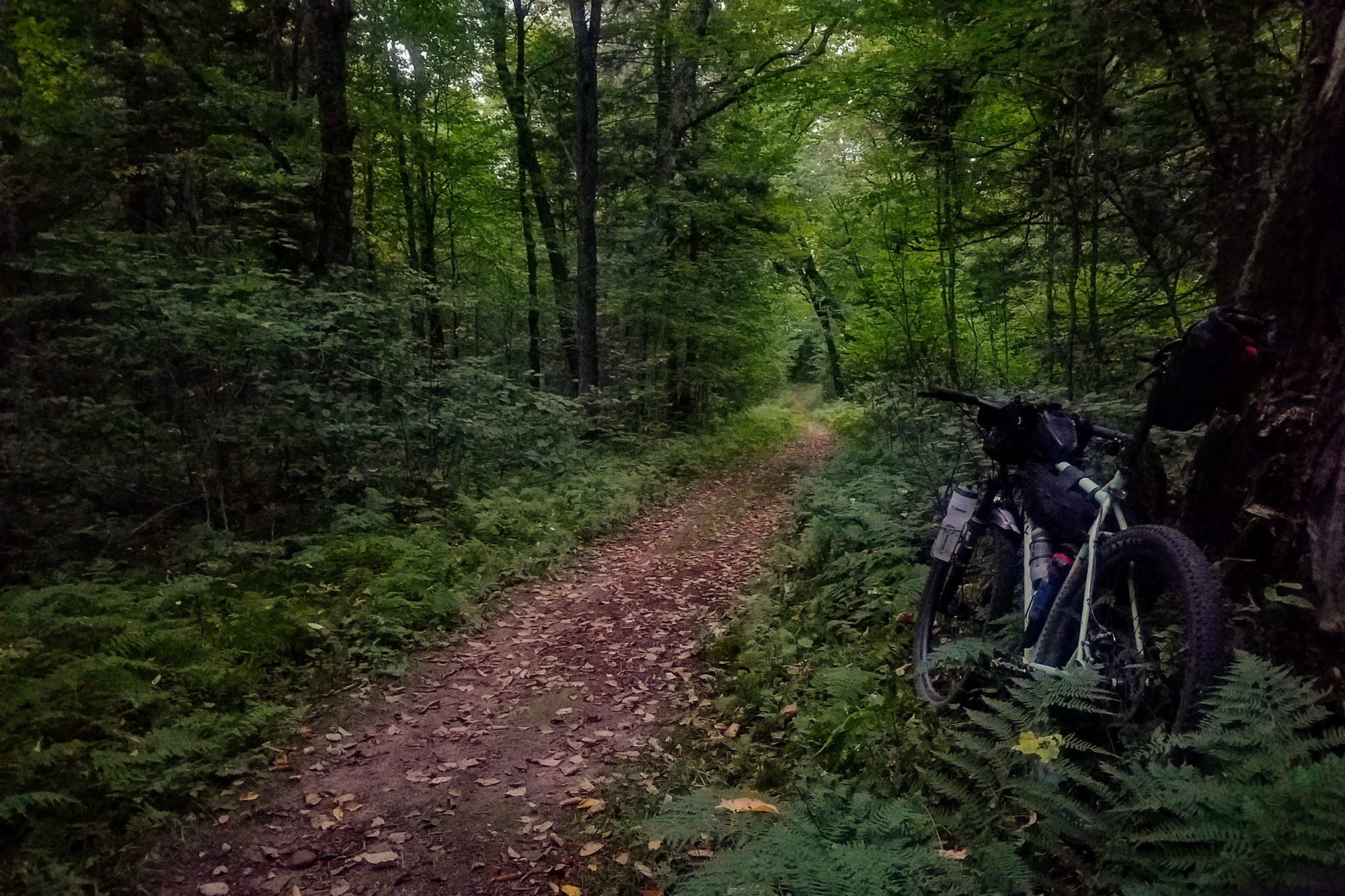 2020 Adirondack Trail Ride Recap