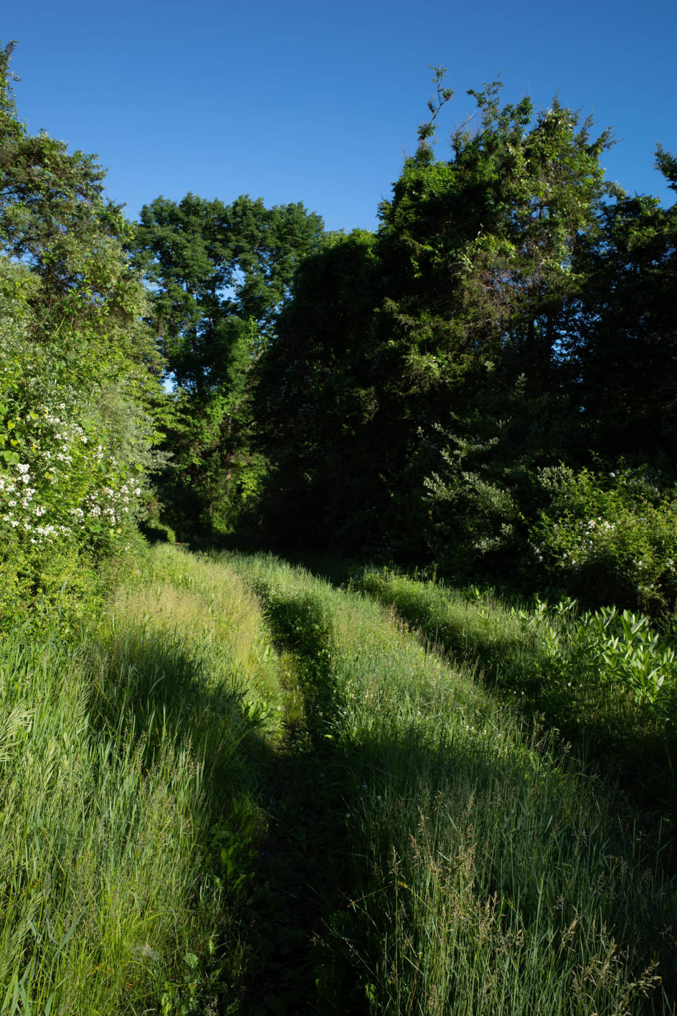 Delaware Water Gap Loop