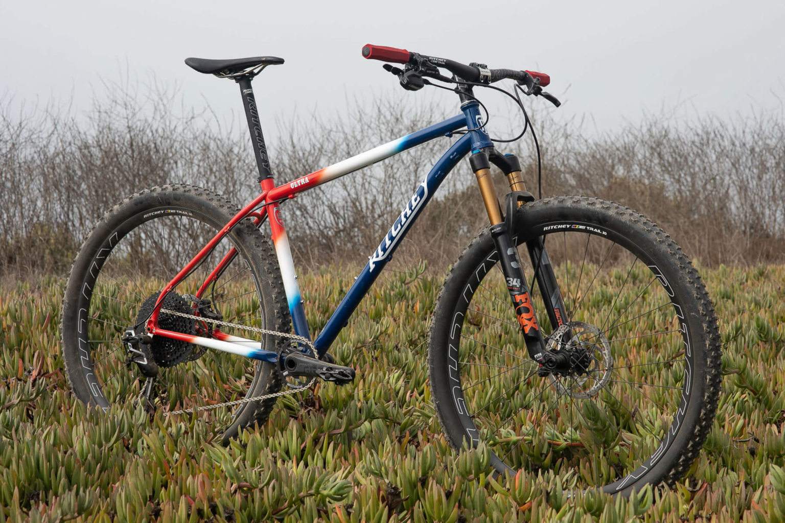 ritchey ultra mountain bike