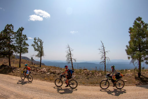 Dusty Betty Mongollon Rim