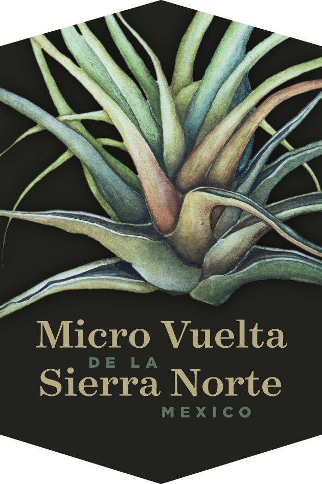 Micro Vuelta Oaxaca