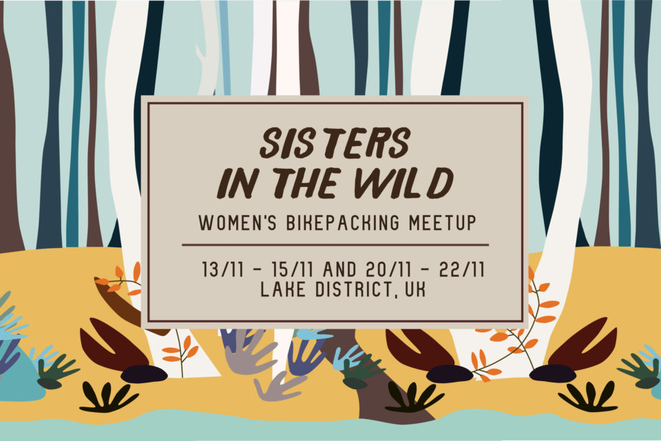 Sisters In The Wild: UK Meetup (2020)