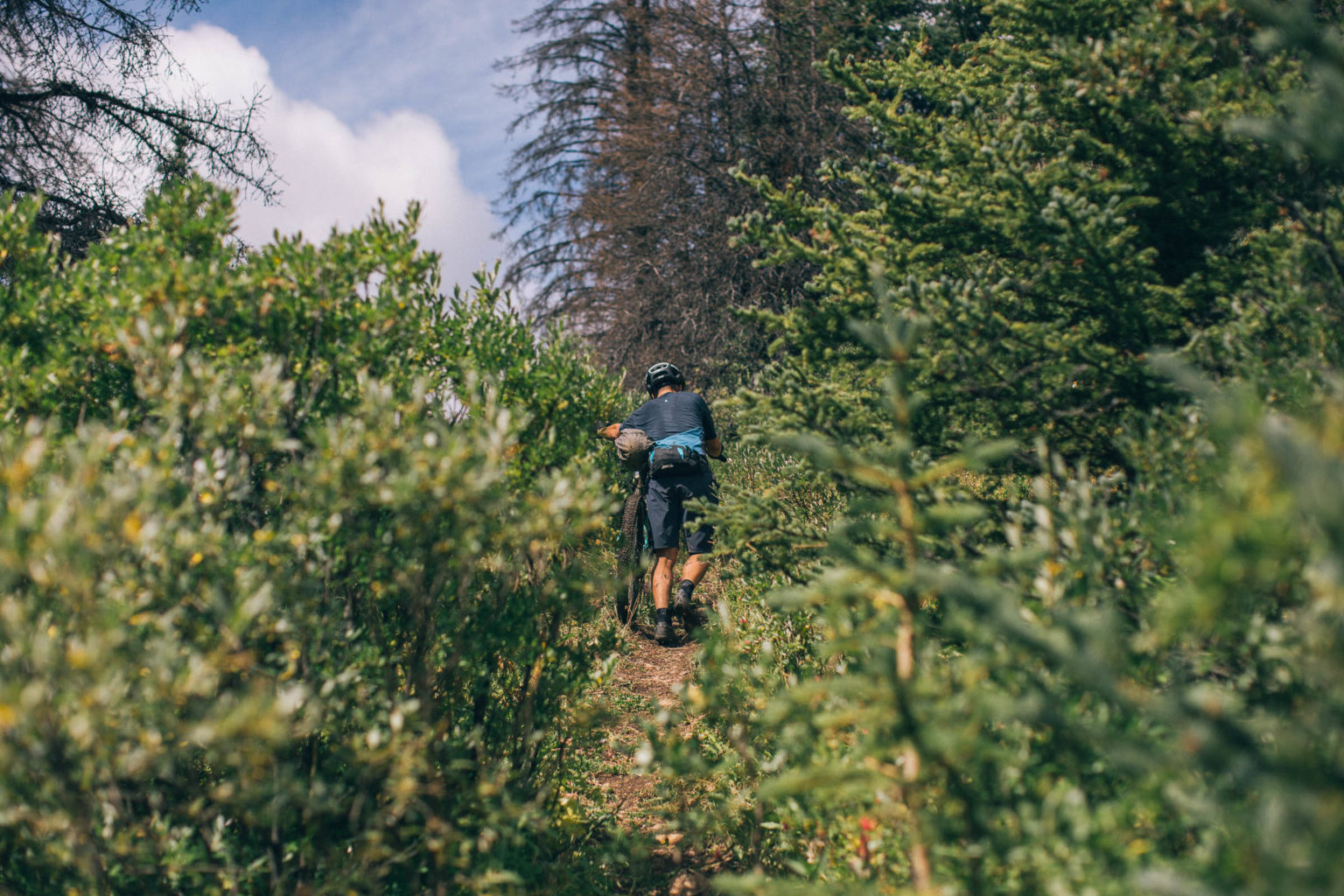 The Art of Bike-Pushing - BIKEPACKING.com