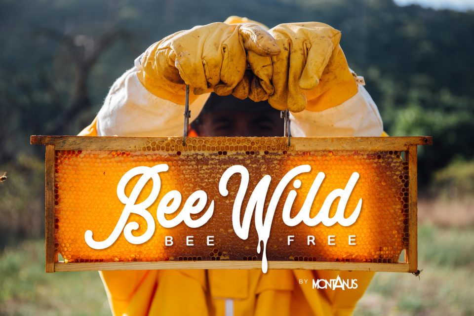 Bee Wild Bee Free
